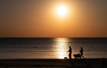 Person walking a dog at sunset along the beach