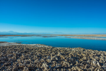 View of the Laguna Chaxa at the Atacama Desert - Atacama, Chile