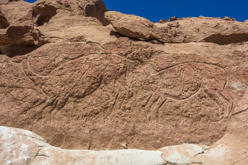 View of some petroglyphs at Yerbas Buenas Petroglyphs site - Atacama, Chile