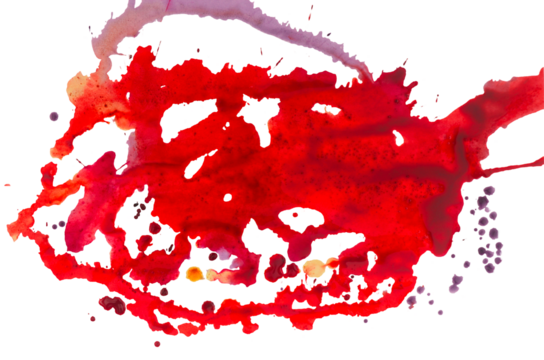 Colorful hand painted Isolated on A Transparent Background