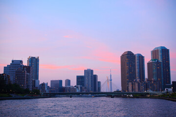 Obraz premium 東京都 隅田川の佃大橋と高層ビル群