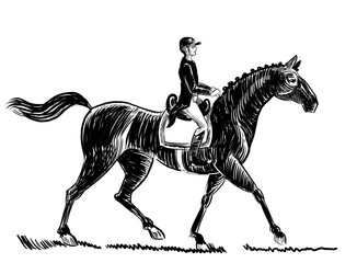 Horse riding. Hand drawn retro styled black and white illustration