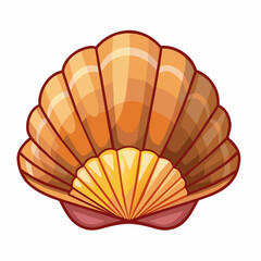 shell isolated on white background