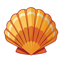 shell isolated on white background