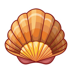 shell isolated on white background