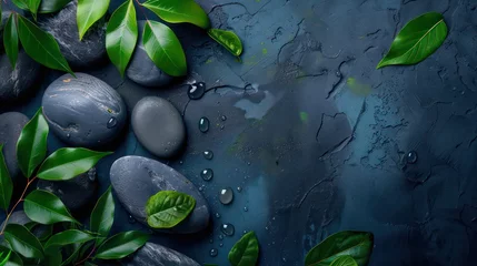 Plexiglas schilderij Toilet Top view of spa stones and leaves on dark background. spa therapy. Elegant and luxury spa  © Ibad