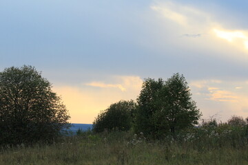 sunset in the forest