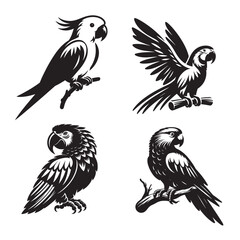 Parrot Silhouettes Vector Art, Black and White Parrot Silhouettes Collection, Parrot Silhouettes Artwork, parrots in sitting pose