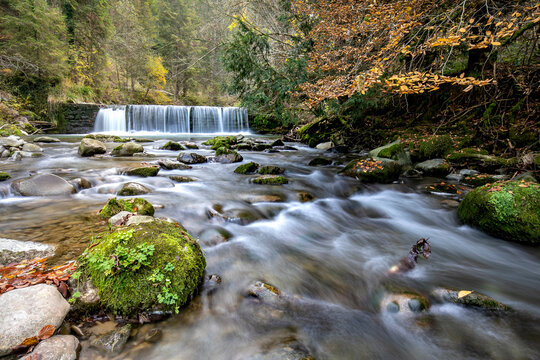 Lorze creek through the autumn forest, Switzerland, exudes a meditative atmosphere