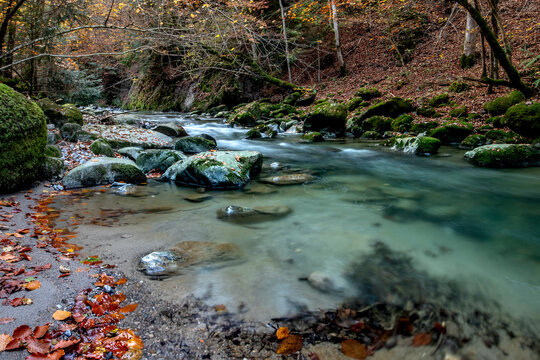 Lorze creek through the autumn forest, Switzerland, exudes a meditative atmosphere
