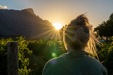 a woman looks into the mountains during sunset in the Franschhoek valley in the vineyards, South...