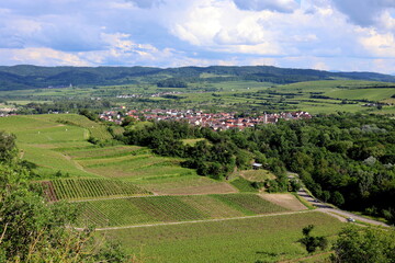 Sasbach am Kaiserstuhl im Frühling