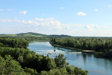 Der Rhein in Limburg am Kaiserstuhl