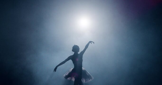 Silhouette Ballet Dancer Performing Swan Lake on Dark Stage Determination Beauty Concept Slow Motion Red Epic
