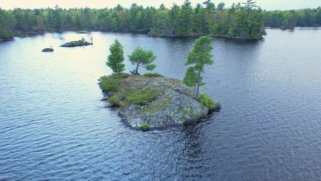 Aerial view of small island with fir trees. Cottage country waters in northern Ontario lake. Green forest lake with pine trees. Panoramic landscape of small lake with islands vegetation trees plants.