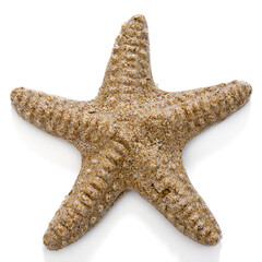 starfish made of sand isolated on white background