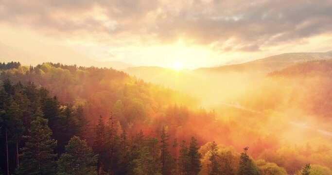 Epic Aerial Flight Over Mist Forrest Sunset Colorful Autumn Trees Golden Hour Sunset Colors Epic Glory Inspiration Hiking And Tourism Concept