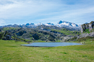 Mountain lakes Lagos de Covadonga and green pasture, Picos de Europa mountains, Asturias, North of Spain. Impressively beautiful lake in Austrian Alps. Panoramic view, concept of ideal resting place