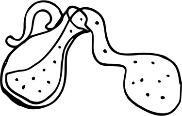 Tomato Sauce ingredients. olive oil. Hand drawn Doodle vector illustration 