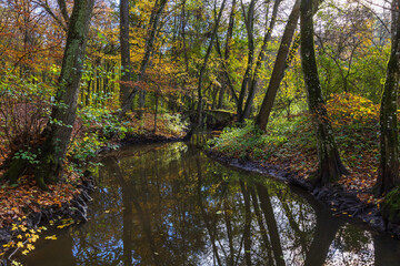 A small river flowing through a bed in an autumn leafy forest. An old arched bridge is built across the river.