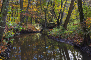 An old bridge over a river built in a deciduous forest. Autumn and falling leaves.