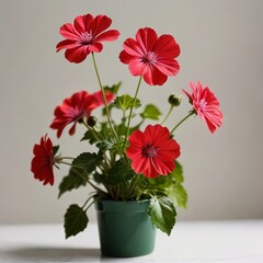 bouquet of flowers