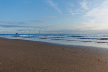 Holland’s Coastline: Sandy Beach and Sea Wind Turbines