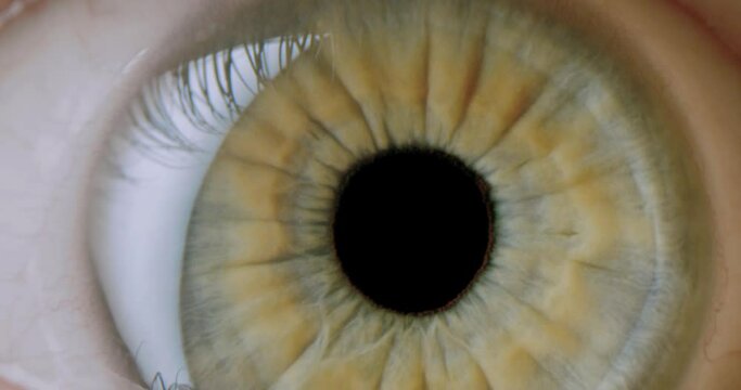 Dolly Shot Extreme Close Up Male Green Yellow Eye Attractive Human Beauty Natural Slow Motion 8k