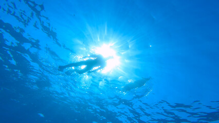 UNDERWATER BOTTOM UP: Silhouette of a dog and a woman floating on surface of sea. Lady and dog swimming together in stunningly beautiful blue Adriatic Sea, showing a wonderful friendship and bond.