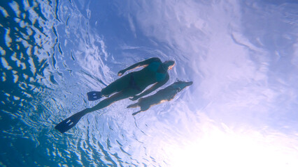 UNDERWATER BOTTOM UP: Woman with swim fins and her dog swim together in crystal clear blue sea....