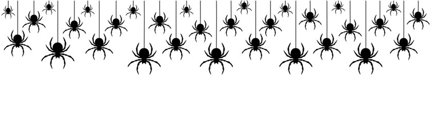 Black spiders hanging on a web.  Vector illustration.