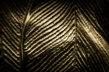 engraved metal plate leaf pattern background abstract