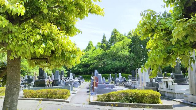 日本の墓地と風に揺れる木の葉