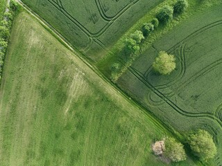defaultDie Felder von Rheinland-Pfalz an einem sonnigen Sommertag in der nähe einer Stadt