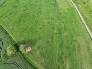 defaultDie Felder von Rheinland-Pfalz an einem sonnigen Sommertag in der nähe einer Stadt