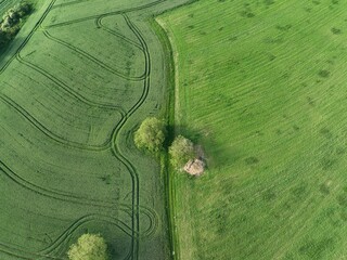 defaultDie Felder von Rheinland-Pfalz an einem sonnigen Sommertag in der nähe einer Stadt