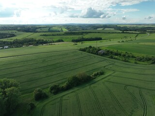 defaultDie Felder von Rheinland-Pfalz an einem sonnigen Sommertag in der nähe einer Stadt