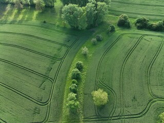 defaultDie Felder von Rheinland-Pfalz an einem sonnigen Sommertag in der nähe einer Stadt