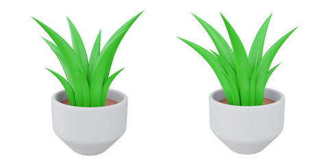 3d aloe vera, interior 3d set, transparent background