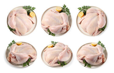 Set of whole raw chicken isolated on white, top and side views