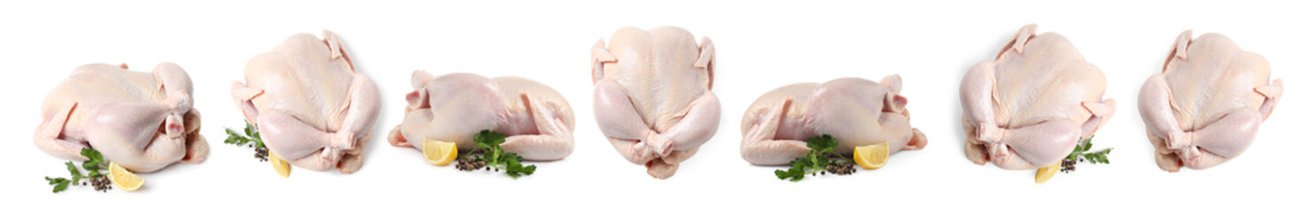 Set of whole raw chicken isolated on white, different sides