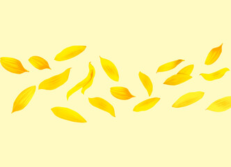 Sunflower petals in air on beige background