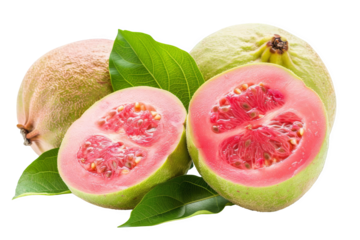 isolated white background of guava