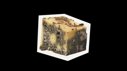 Moldy Cheese, collage animation, cut out crumpled paper, montage motion Graphics