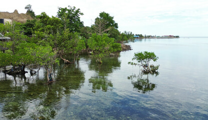 landscape with lake and trees