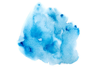 blue sponge isolated on white