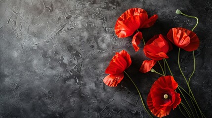 The concept of National Day of Service and Remembrance 