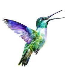 Obraz premium A watercolor painting of a hummingbird