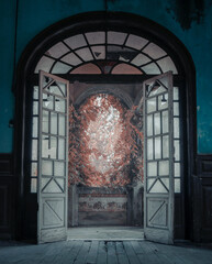 Old bow window balcony with vegetation, autumn leaves, broken wooden floor and blue walls in an abandoned house