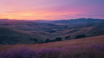Obraz premium Sunset Over Rolling Hills with Wildflowers